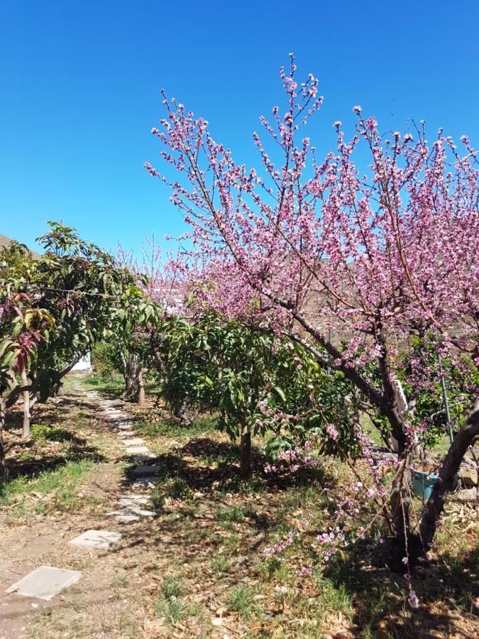 Los Campitos Casa Rural En Santa Cruz מראה חיצוני תמונה